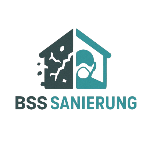 BSS Sanierung UG